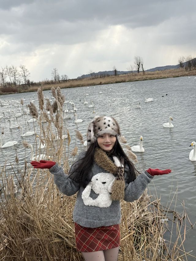 太浪漫啦!嚟威海睇海睇雪啦~ 太浪漫啦!嚟威海睇海睇雪啦~