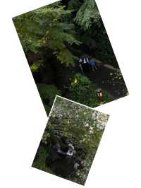 【名古屋必去！德川園，一步一景的古典美】
