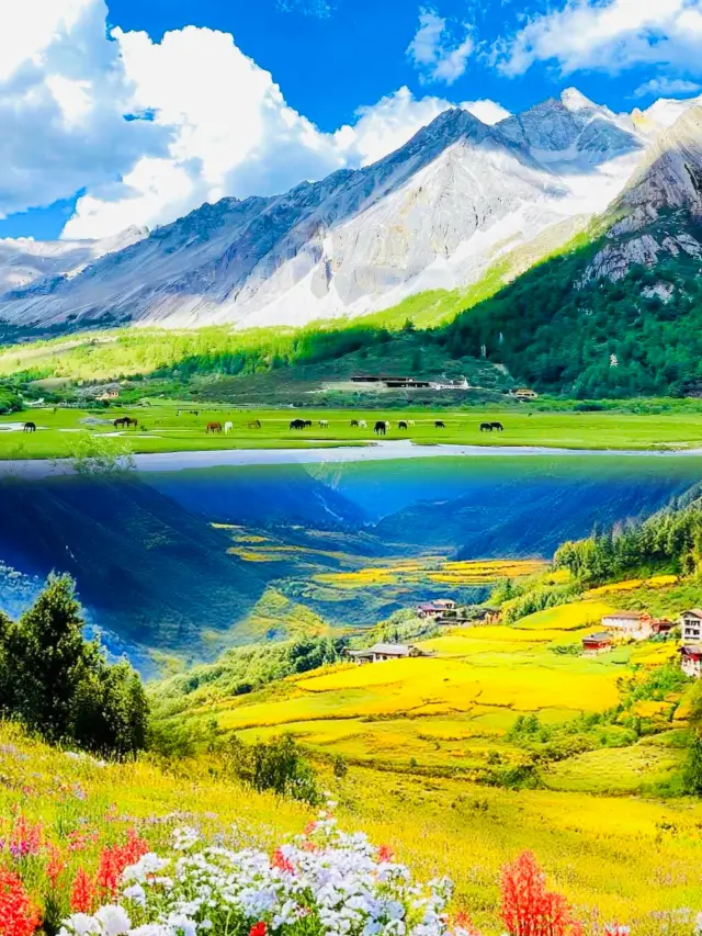 ดาวชิง หยาติน สถานที่ที่ต้องไปสักครั้งในชีวิต