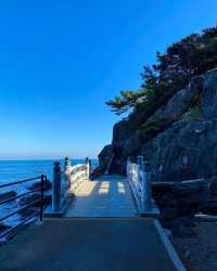 "浪花與歷史交融：高知桂濱海灘的無限魅力" 