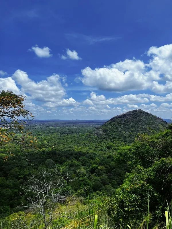 Unawatuna Beach: Discover the Magic of Sri Lanka