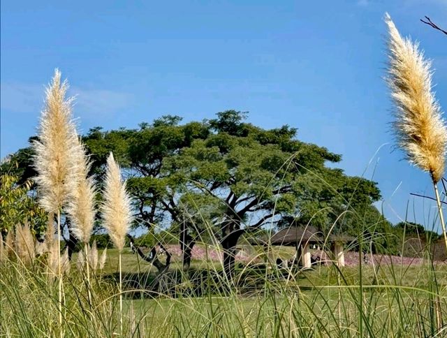 海之中道海濱公園