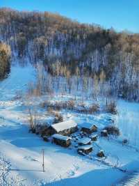 從雪谷穿越雪鄉，正確打開林海雪原的旅行方式