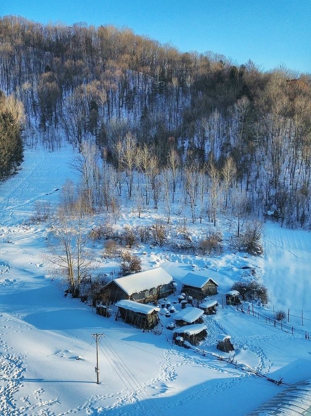 從雪谷穿越雪鄉，正確打開林海雪原的旅行方式