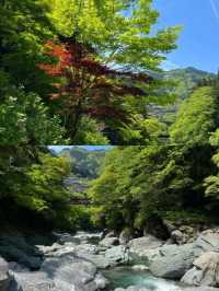 德島兩日遊，感受阿波舞嘅魅力同自然之美！