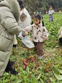 綿陽春節遛娃寶藏地 | 還會去10次的主題樂園