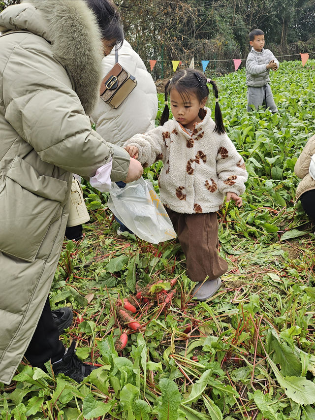 綿陽春節遛娃寶藏地 | 還會去10次的主題樂園