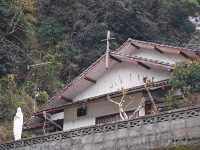 日本世界遺產巡禮