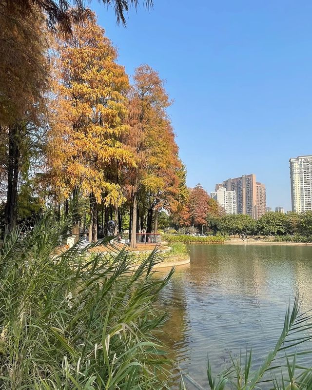 四海公園，邂逅冬日暖陽的浪漫