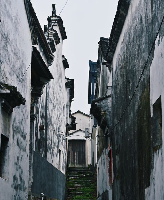 人生建議：來紹興旅行一定要留一天給古村落