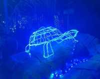 Experience a Warm Winter in Phoenix: Christmas Light Festivals