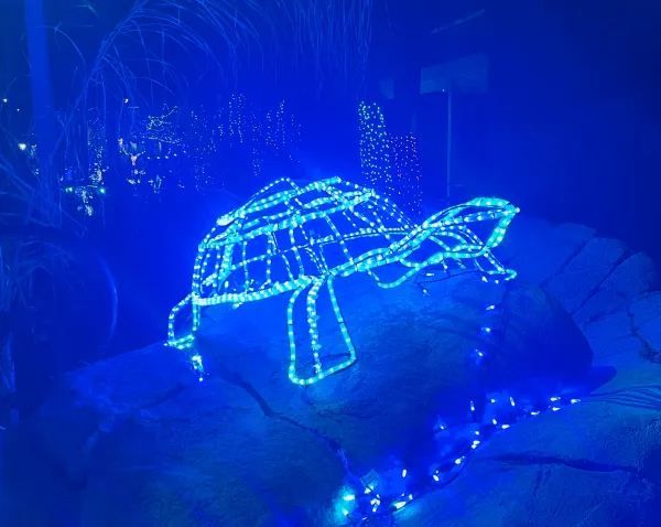 Experience a Warm Winter in Phoenix: Christmas Light Festivals