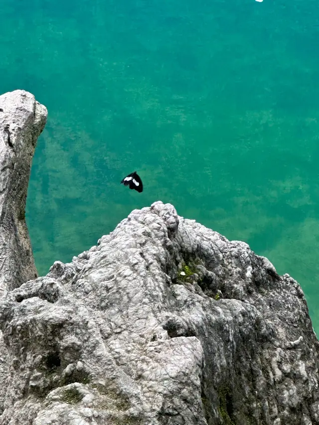 7-Day Guizhou Tour: Huangguoshu Waterfall, Fanjing Mountain, and Zhenyuan