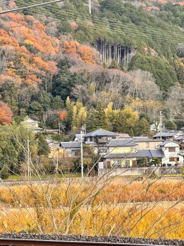 5-day Japan family trip: easy travel with kids