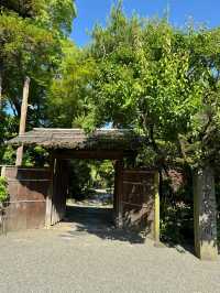 日本溫泉打卡攻略舒適解壓好去處