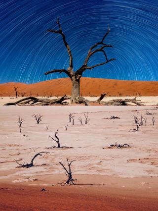 11-Day Namibia and Multi-Country Travel Guide for the New Year