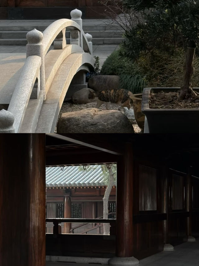 上海小眾寺廟｜避開人潮的靜謐治癒角落！