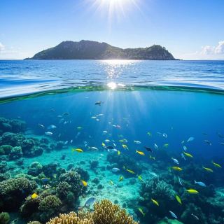 Explore the Dreamy East Coast of Australia: A Complete Guide to Coffs Harbour