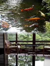 躲進日本溫泉舊時光，西村屋本館治癒之旅