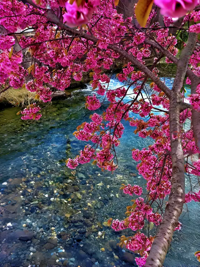 계족산 티켓 할인, 운영 시간, 후기 [2025년] | Trip.com