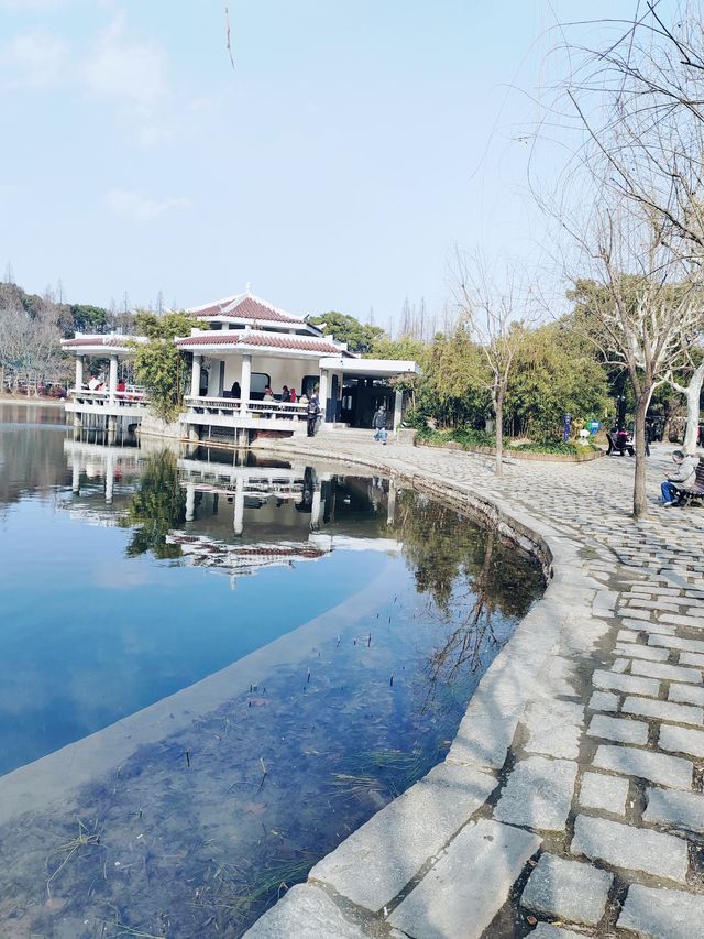 上海的小西湖—楊浦公園探尋
