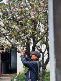 蘇州8座小眾園林的春和景明附賞花遊路線