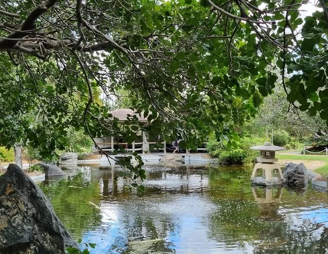 澳洲洛克咸頓植物園：大自然的綠色天堂 