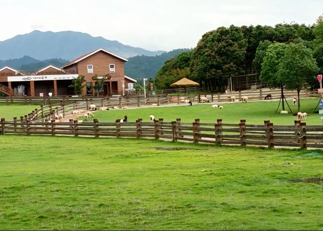 蘆溪旅遊攻略