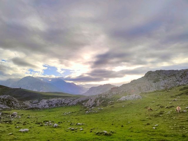 Mountain Route Near Treviso: A Hidden Green Paradise 🌿🐄