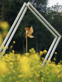 廣西柳州省兒山油菜花海：春日限定，金色浪漫！