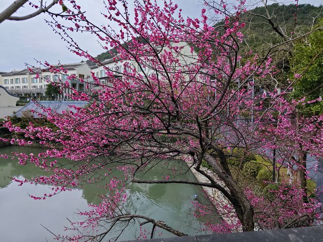 柏悅酒店「東錢湖秘境」
