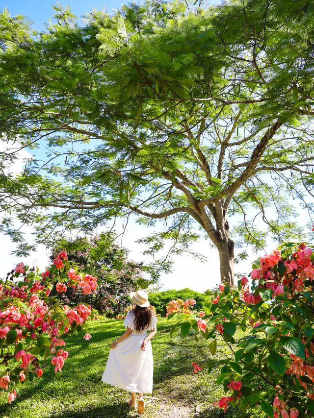 人生建議來西雙版納一定要去這個夢中仙境