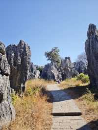 昆明-大理市-麗江8日親子遊 超詳細攻略來襲