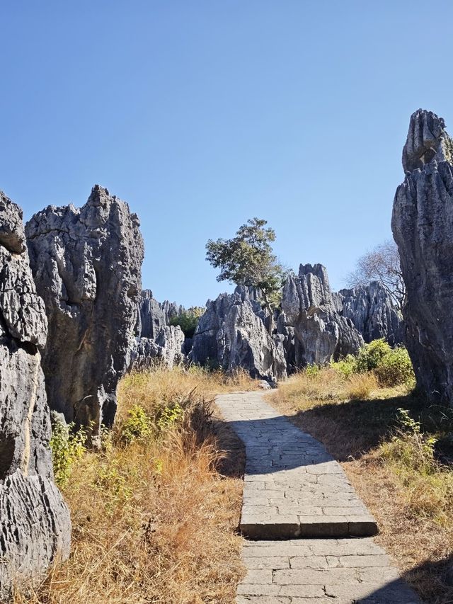 昆明-大理市-麗江8日親子遊 超詳細攻略來襲 昆明-大理市-麗江8日親子遊 超詳細攻略來襲