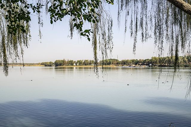 大蓮湖