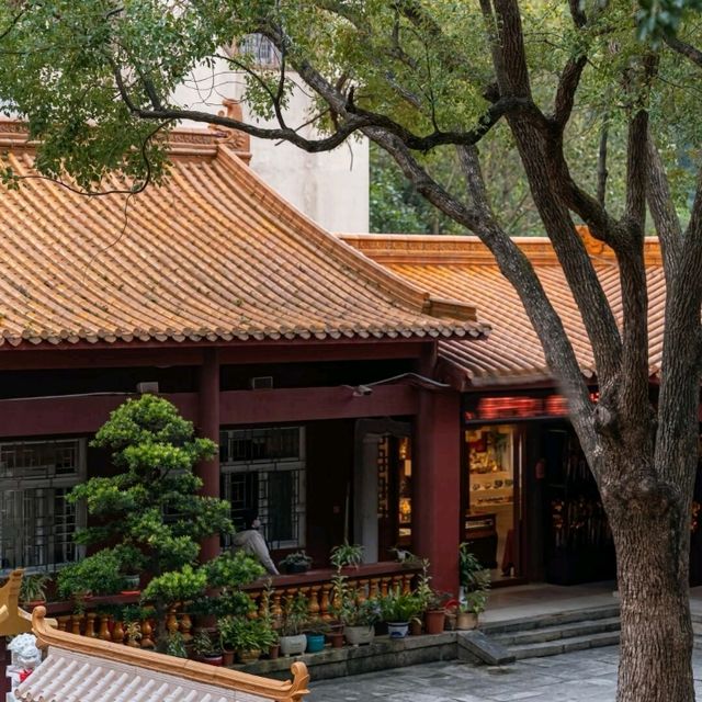 深圳週末限定 | 羅湖區的逛玩寶藏清單🎁