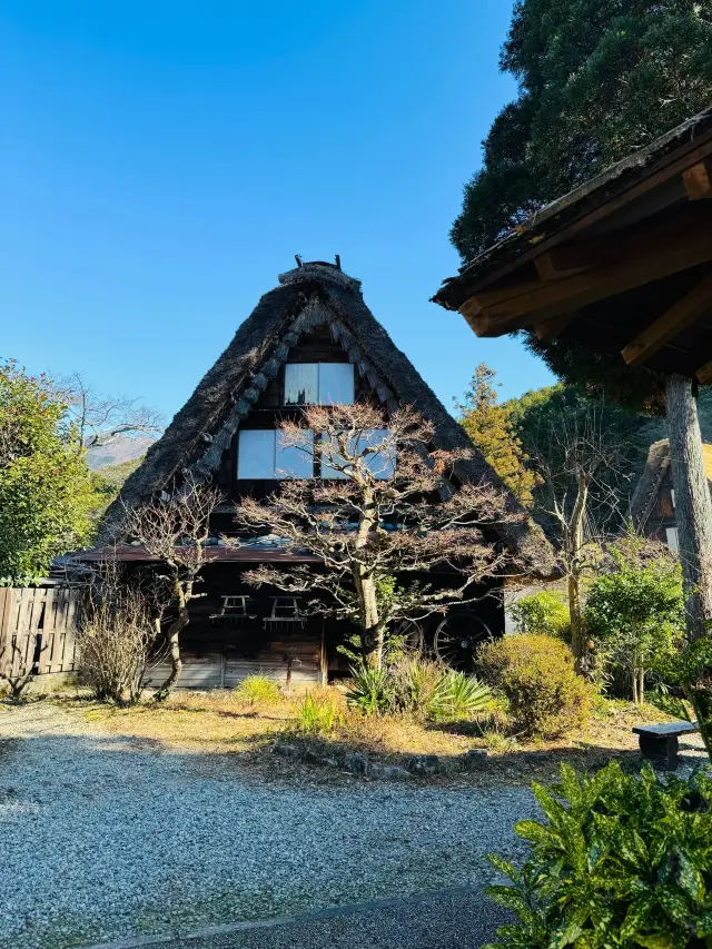 3일간의 일본 온천 여행, 실패 없는 완벽 가이드