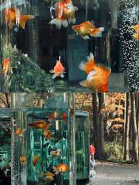 足不出「滬」，親近動物