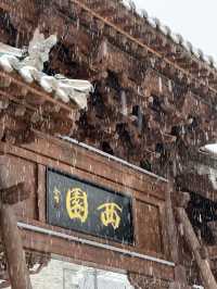 五台山－大同2日遊 玩轉聖地不踩雷