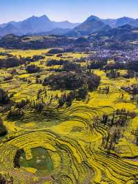 2025滇東南油菜花小眾賞花路線最新攻略