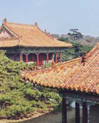 想你的風吹到了北陵公園