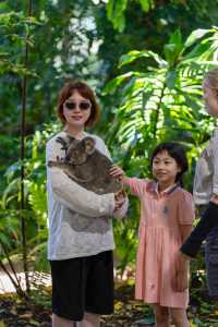 在黃金海岸的可倫賓野生動物保護區抱了樹熊餵了袋鼠