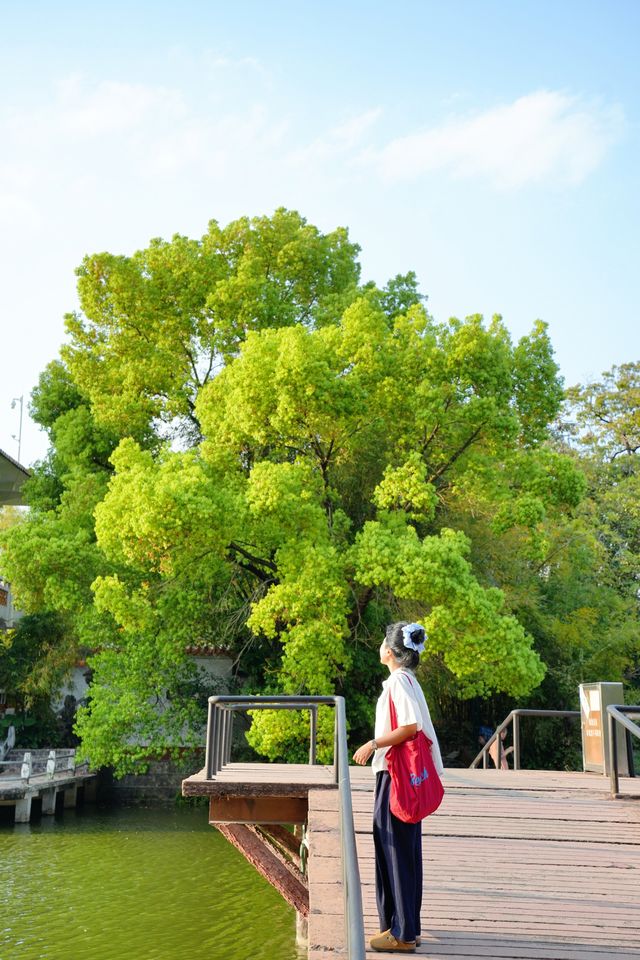 美哭！沒有哪個公園能比它更懂拿捏春和景明了