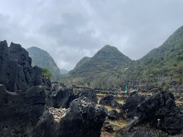 🏞️陽山秦漢古道體驗攻略：穿越歷史，探尋自然之美👣