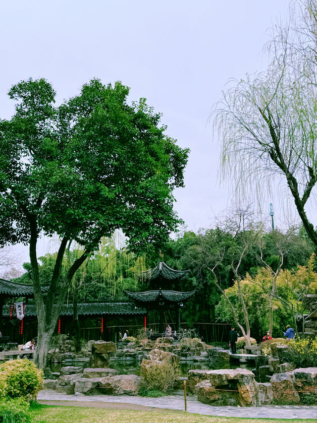 週末閨蜜遊，揚州個園櫻花林，拍照打卡超浪漫！