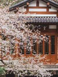 杭州酒店丨當宋式美學撞上中式梅景