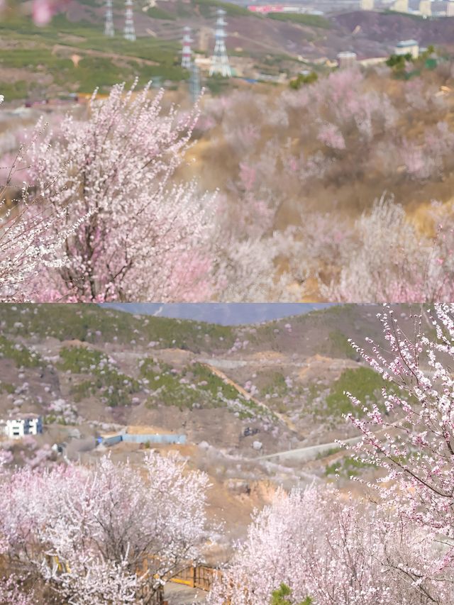 北京超美小眾登山步道，衝鴨