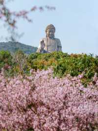 「普照佛光疊翠巒，無錫聖境秀靈山」