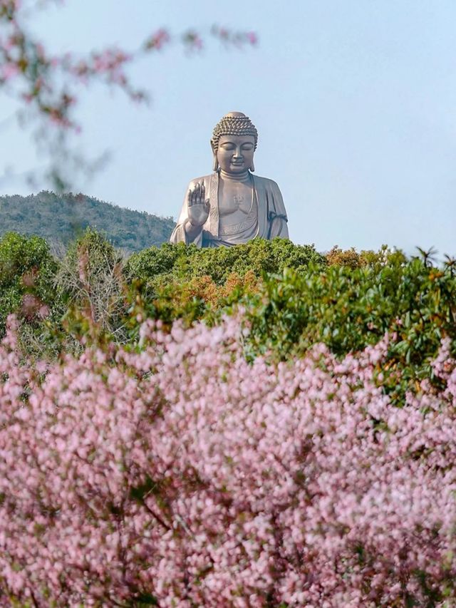 「普照佛光疊翠巒，無錫聖境秀靈山」