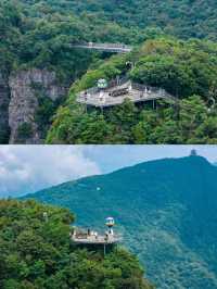 龍頭山雲端漫步｜被這處天然氧吧仙境種草了